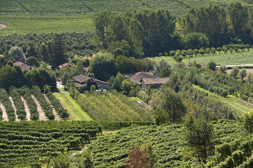 Вилла Cascina Ballarin Ла Морра Экстерьер фото