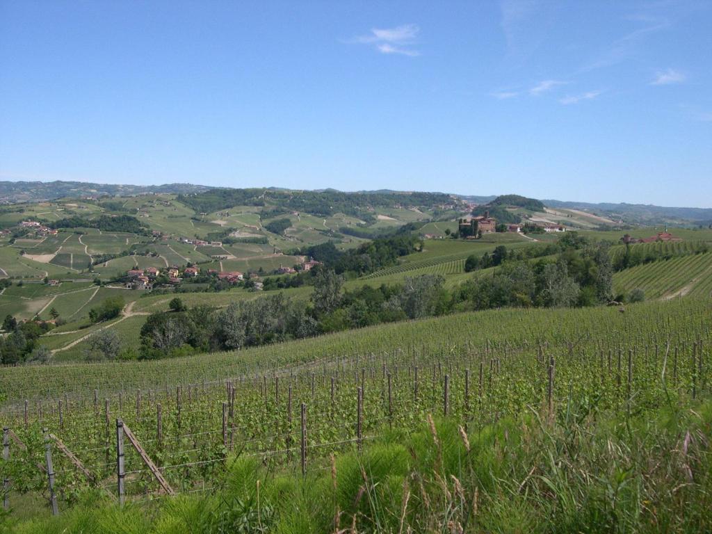 Вилла Cascina Ballarin Ла Морра Экстерьер фото