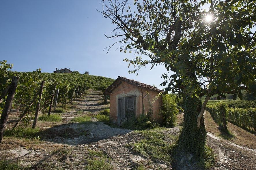 Вилла Cascina Ballarin Ла Морра Экстерьер фото